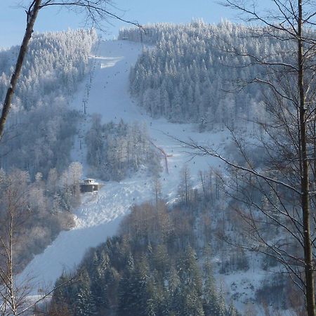 Hotel Lawine Тодтнау Екстериор снимка